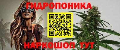 ешки Будённовск